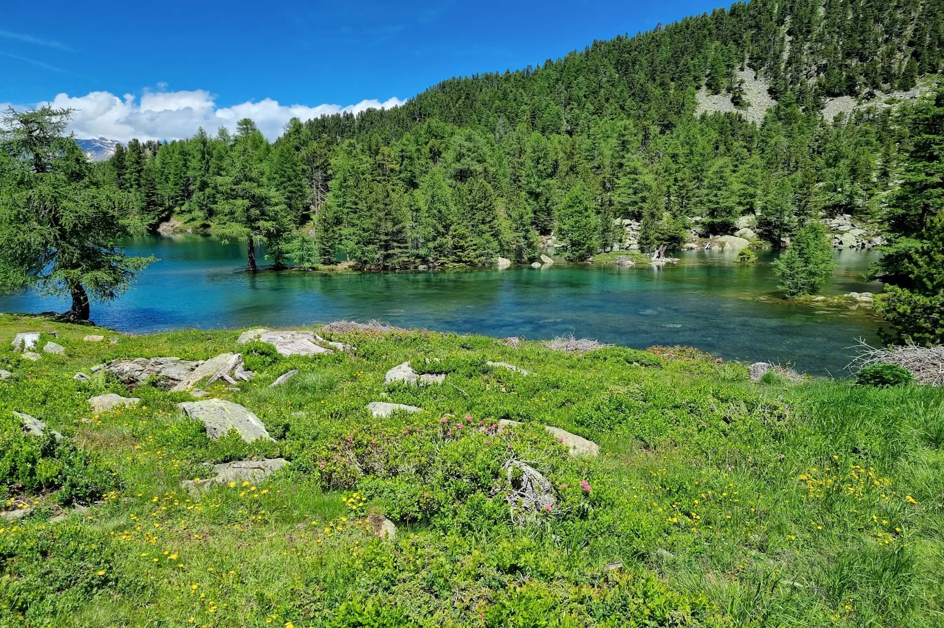Aktivwochen Sommer